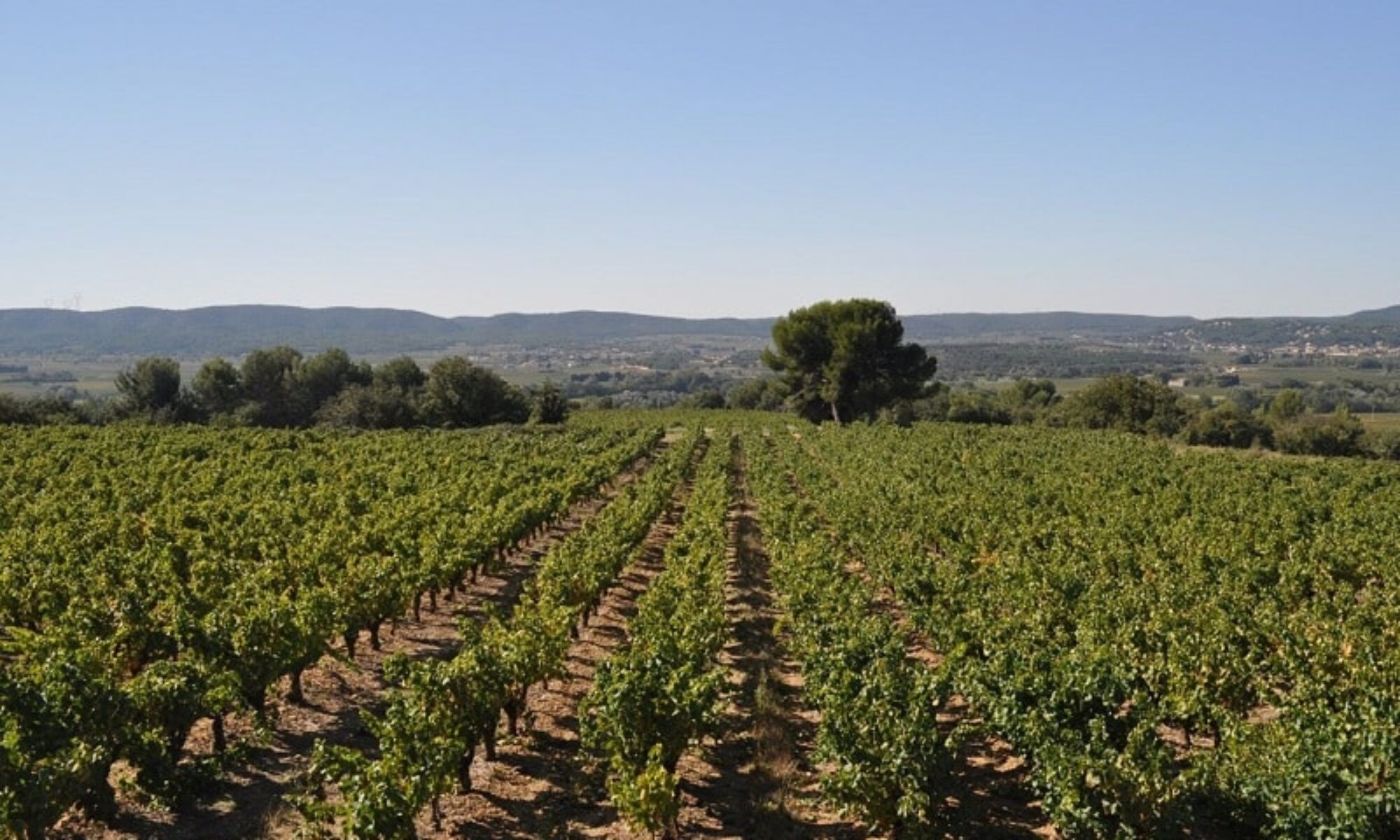 Découvrez de bonnes adresses BROTTE Musée du Vin boutique