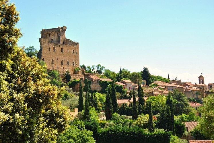 Vue du village de Châteauneuf du Pape